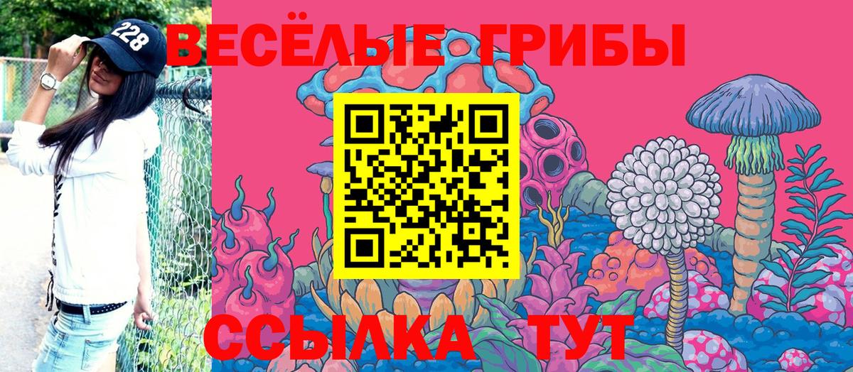 Ухта  купить наркотики сайты  Псилоцибиновые грибы Magic Shrooms  Вход с VPN  Галлюциногенные грибы Psilocybe 