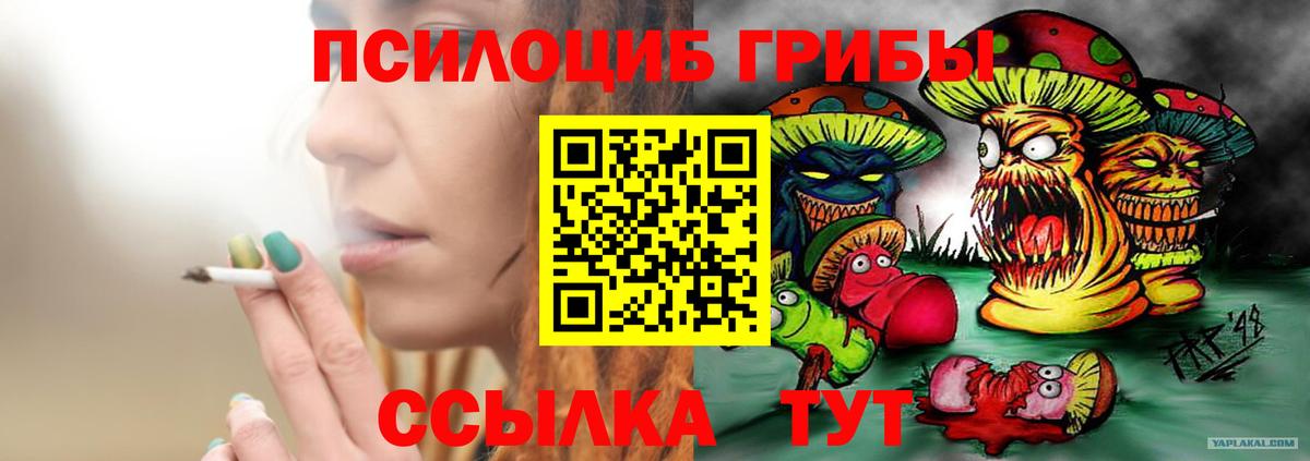 Псилоцибиновые грибы MAGIC MUSHROOMS Ухта